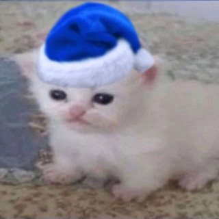 Мягкие всратыши ❄️