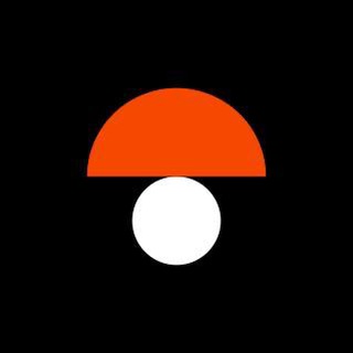 МоиГрибы.рф | Микродозинг