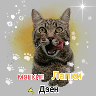 Мягкие лапки🐈🐾