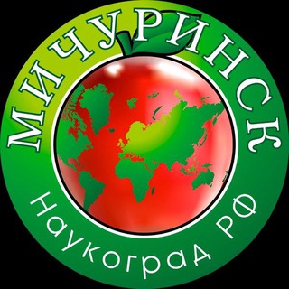 Город Мичуринск