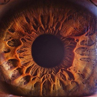 микромир🔬