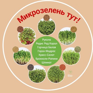 Микрозелень тут!