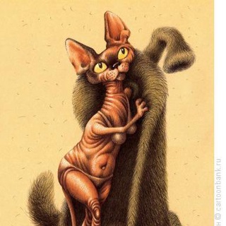 Верхняя одежда по адекватным ценам