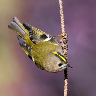 Фотограф Михаил Ездаков