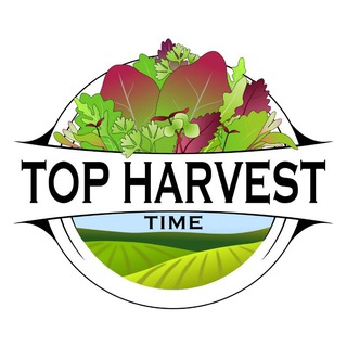 Микрозелень в ЖК Царицыно 💚