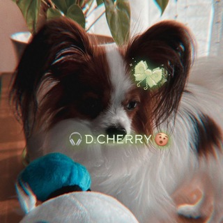 𓆩𝑫.𝑪𝑯𝑬𝑹𝑹𝒀𓆪