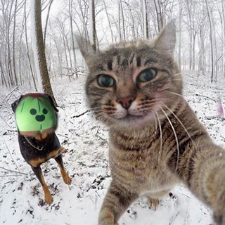 Милиса ворлд доминейшен и её братан Пабло