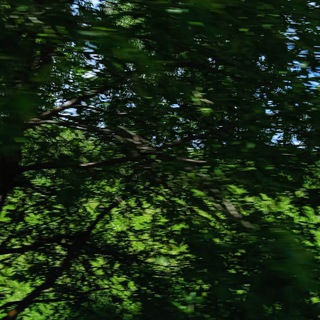 🫧₊ ⟡прянечный домик ○ ˖🐈