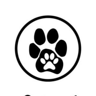 MILOTA Бренд | КОШЕЧКИ СОБАЧКИ |