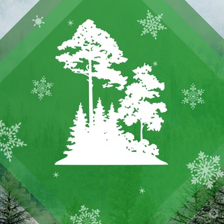 Министерство лесного хозяйства и лесопереработки Хабаровского края