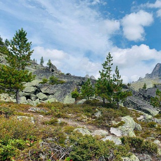 Министерство природных ресурсов и лесного комплекса Красноярского края