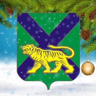 Министерство цифрового развития и связи Приморского края