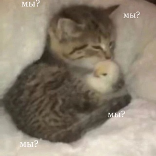 Минутка любви💘