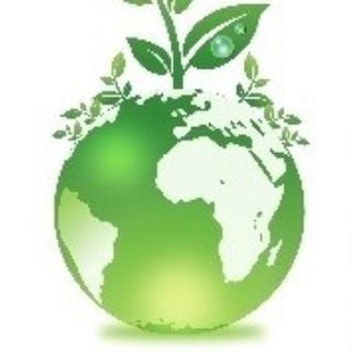 ИМ: www.мир-семян.рф @prof.semena.