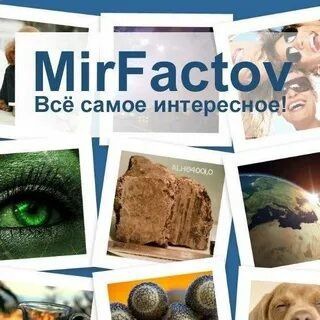 Мир фактов