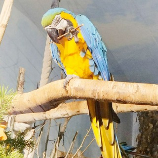 Природа и животный мир.