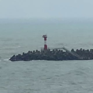 Приют чайки на маяке