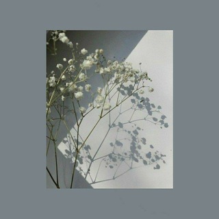 ~ᤋᥲᥰᥙᥴκᥙ κᥲжд᧐ᴦ᧐ дня~