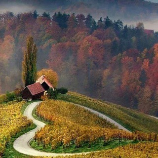 Мир вокруг нас