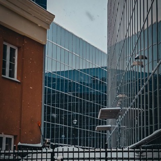 Лес, город и котики