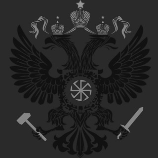 Мысли Нацбола Z