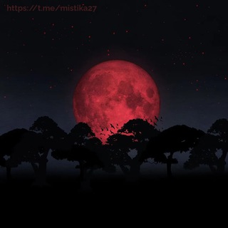 Ведьмин дом