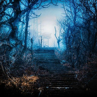 Предпринимательство