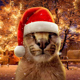 Фан-клуб блогера 