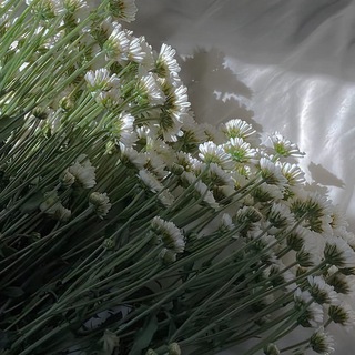 💕мнямушные обои🥺