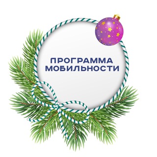 Программа мобильности
