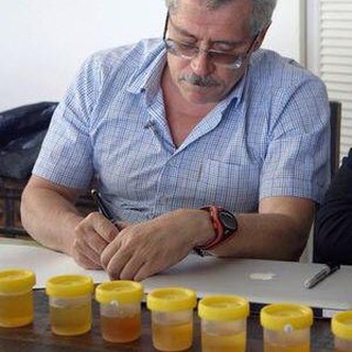 Моча Родченкова