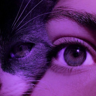 🄰🄴🅂🅃🄷🄴🅃🄸🄲