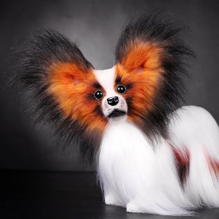 Мохнатыйдруг🐶🐱