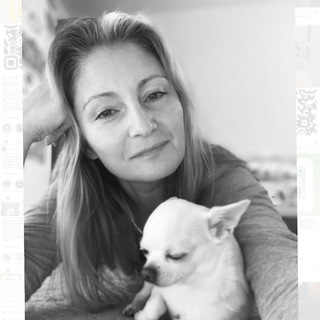 Питомник Чихуахуа❤️