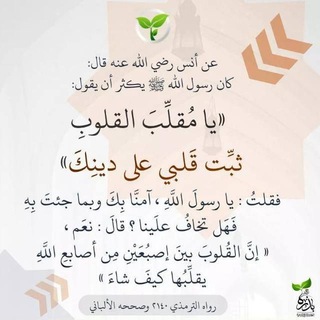 Абу Идрис (Мои статусы)