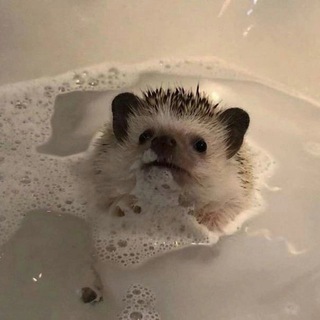 Момент нашей вечности 🕸