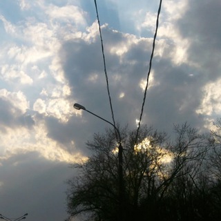 Фото. Моменты света