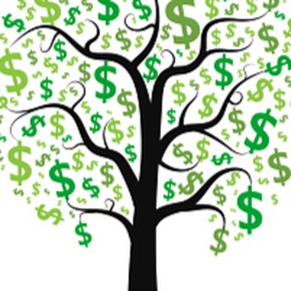 Денежное дерево