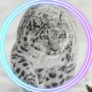 𐌼𐌳𐌽𐌵𐌳𐍰 𐌼𐌏𐌽𐌴𐍟