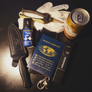 Паспорт и телефон