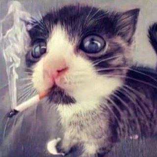 🥀 ПЕРЕЕЗД 🥀маэстро ебланито