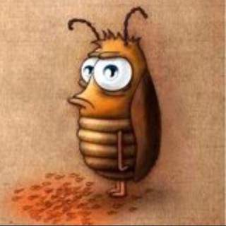 О чём молчит Фёдор