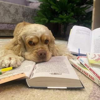 Лучший друг 🩷