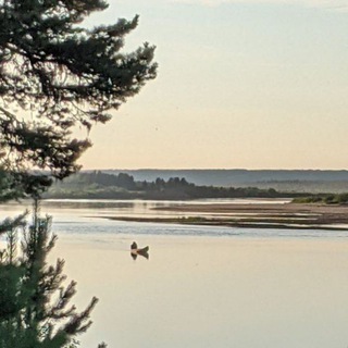 Чувство обыденного (архив)