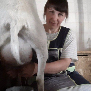 Домик у Старой Церкви