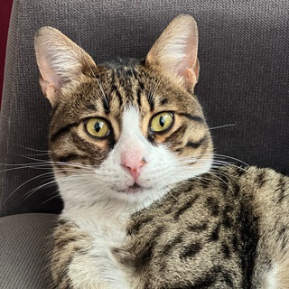 OnlySrans жизнь 🥰