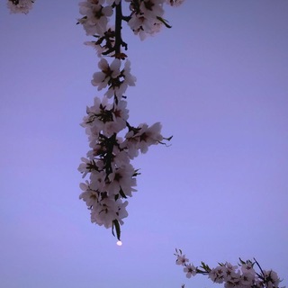 On the way to a dream