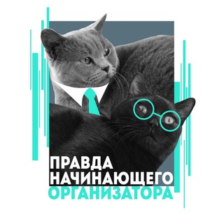 Правда начинающего организатора