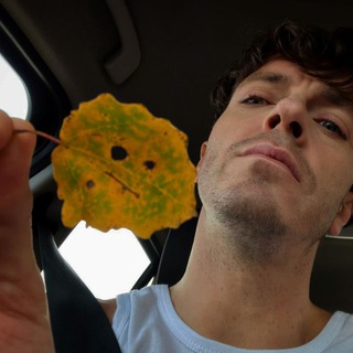 Осенний Арсений 🍁