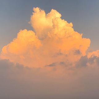 Осознавая осознанность